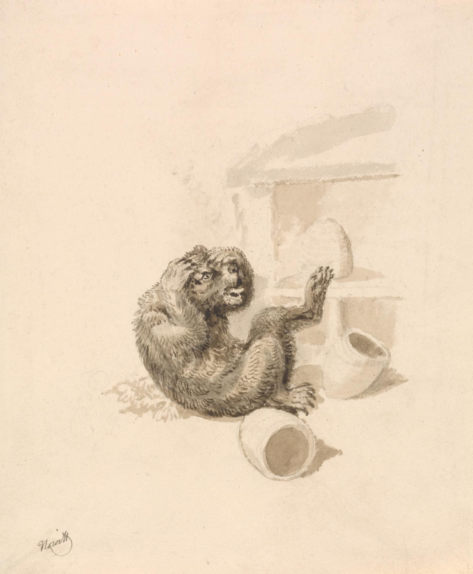 Object Image