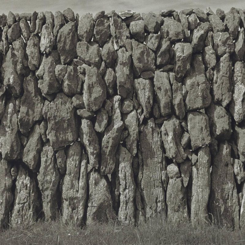 Aran