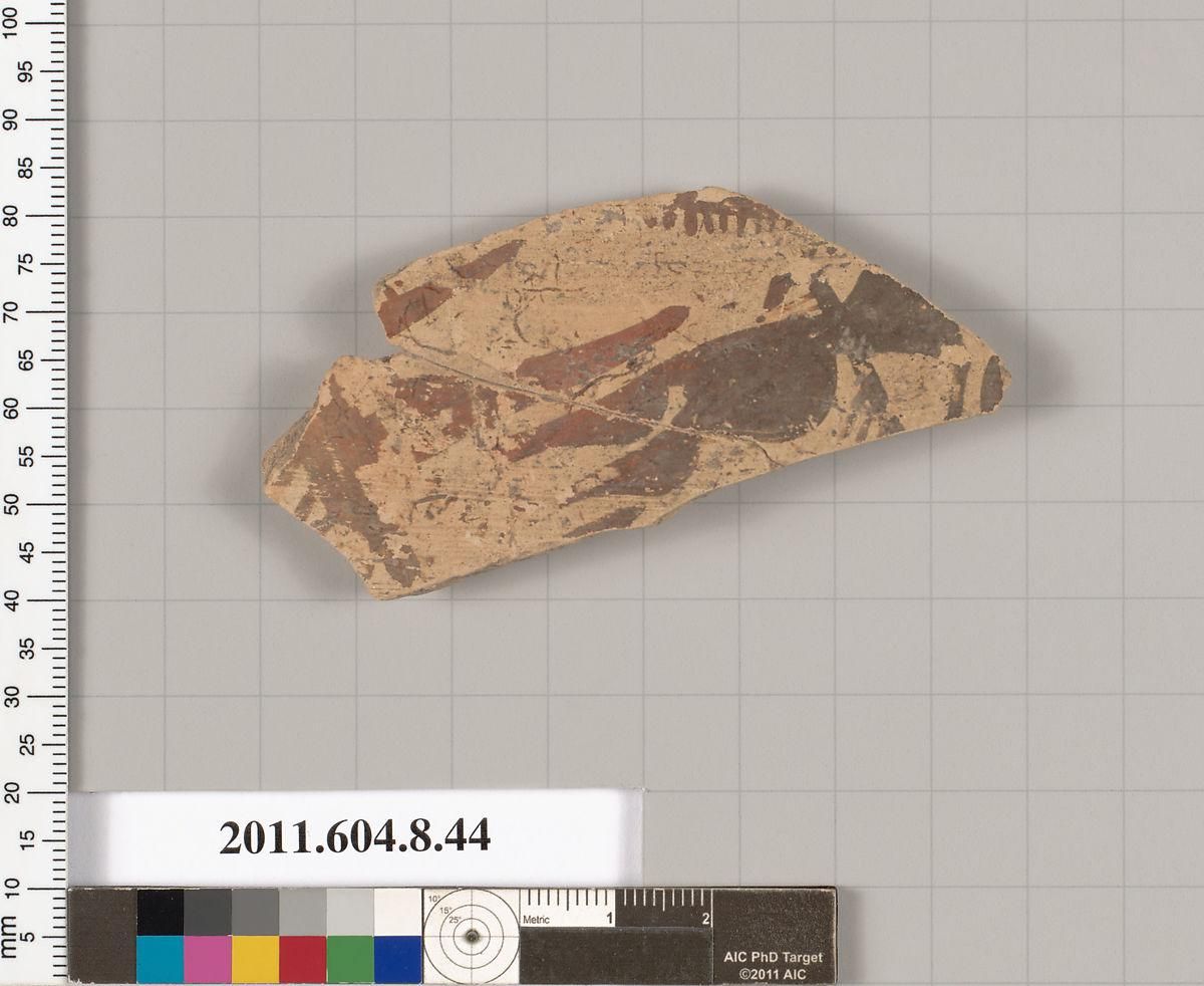 Object Image