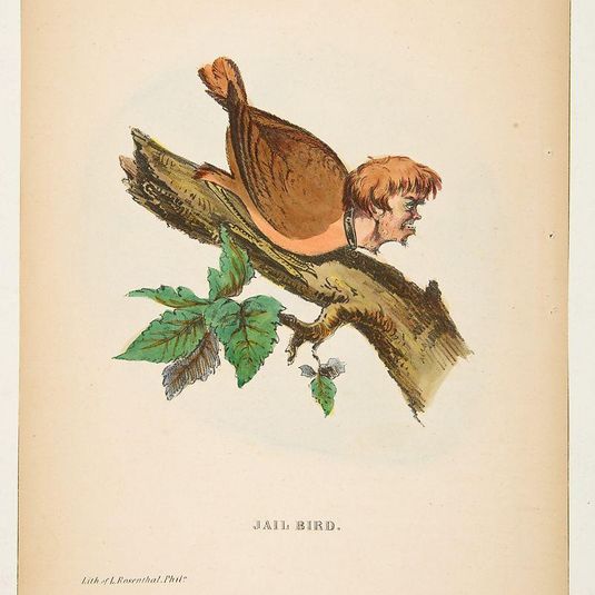 Jail Bird, from The Comic Natural History of the Human Race