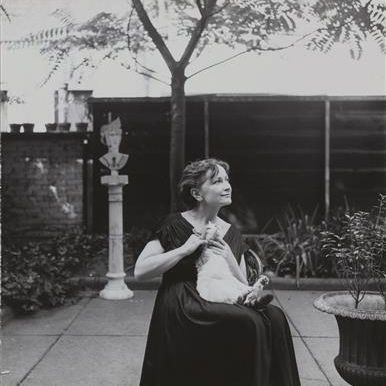 Hedda Sterne