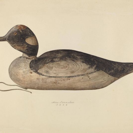 Duck Decoy
