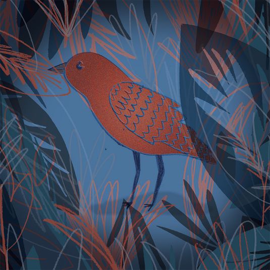 How the Robin got his Red Breast