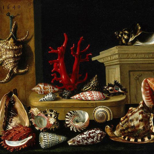 Nature morte aux coquillages et au corail