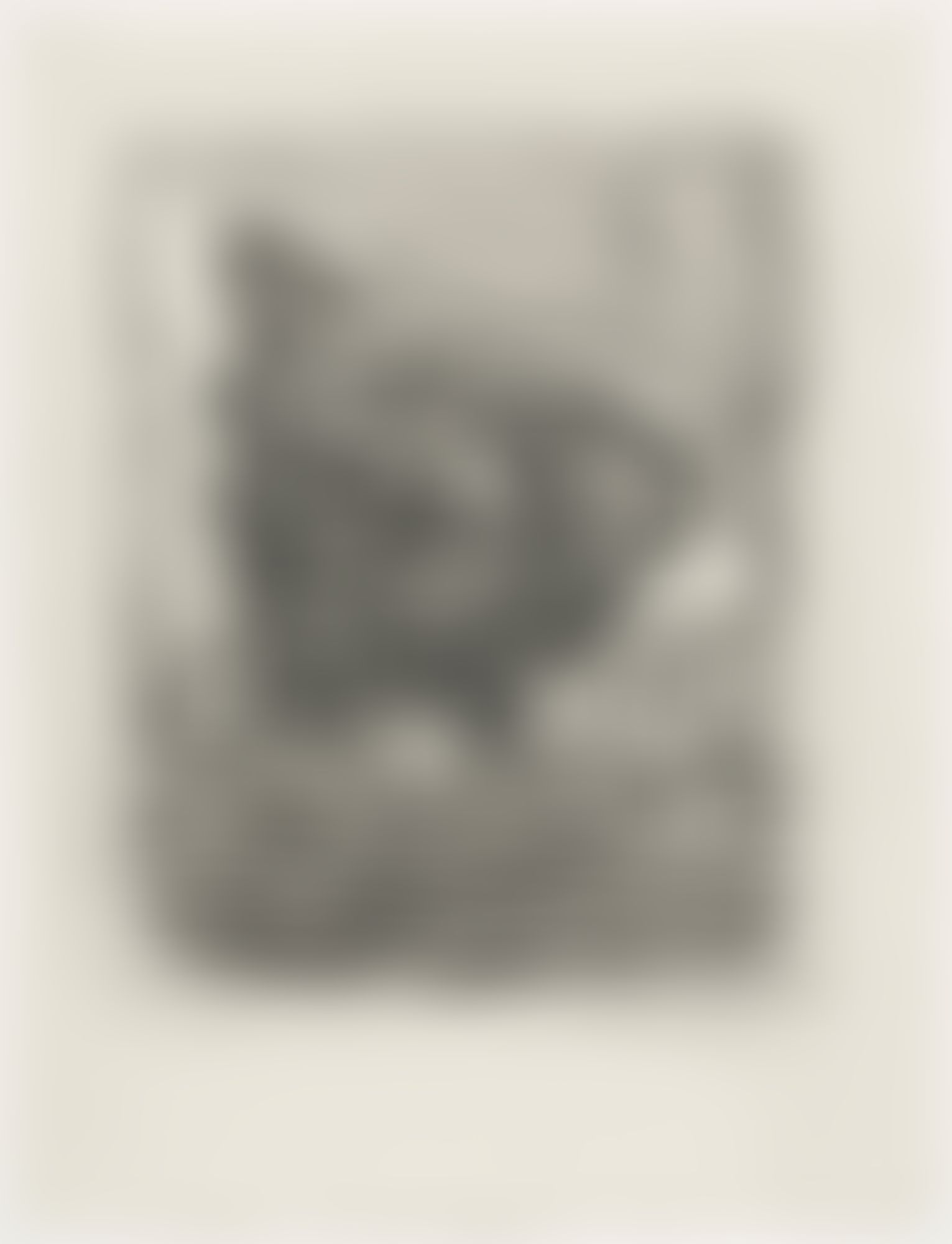 Object Image