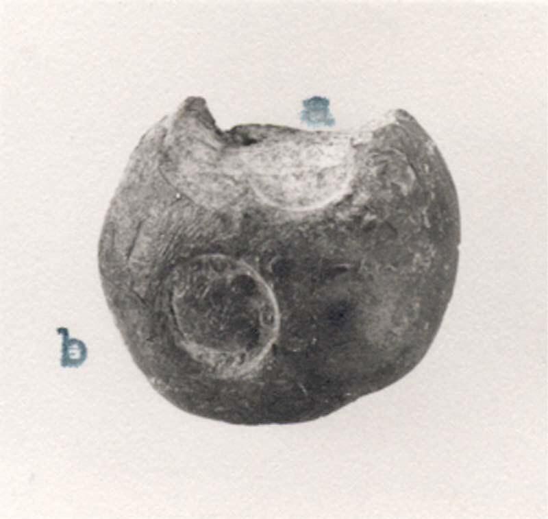 Object Image
