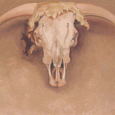 Bob's Steer Head
