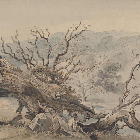 A Fallen Oak