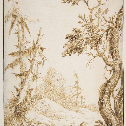 Clearing in a Wooded Landscape