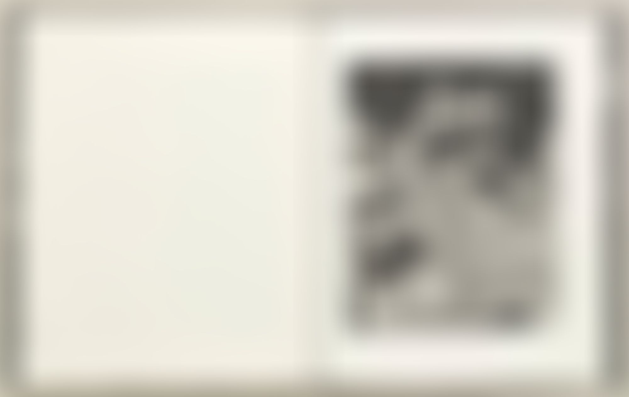 Object Image