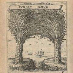 Albert Flamen