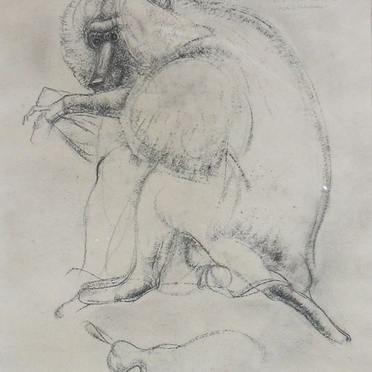 Baboon