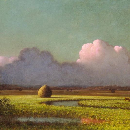 Sunlight and Shadow: The Newbury Marshes