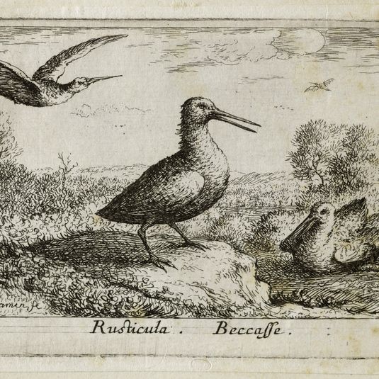 Différents oiseaux, La bécasse (Robert-Dumesnil 401, Bartsch 75)