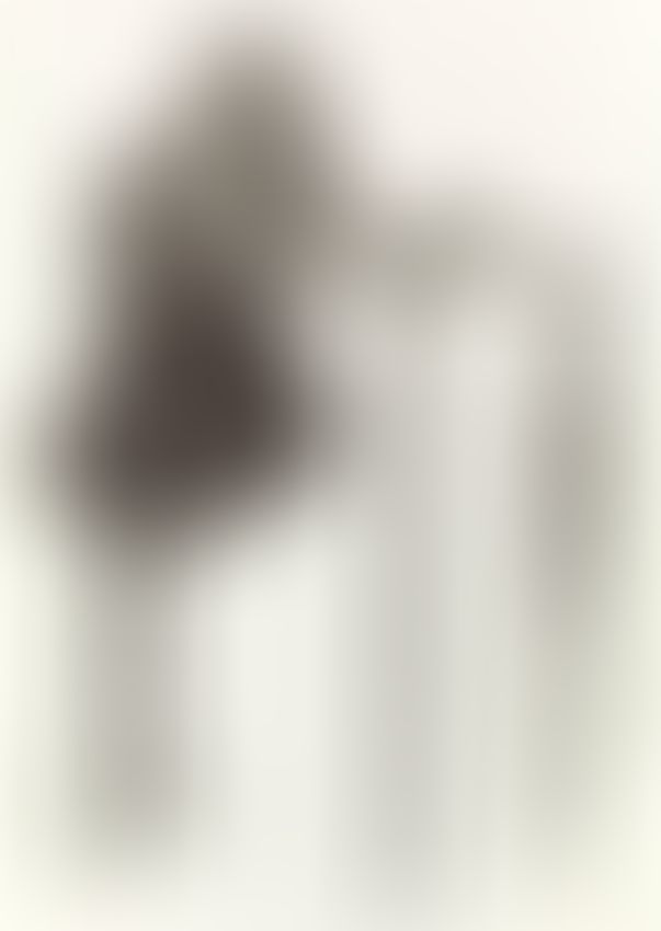 Object Image