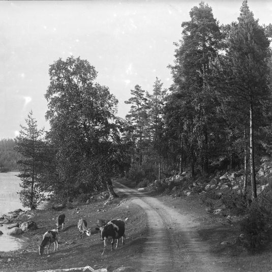 Kerttusalo / Perhe ja koti