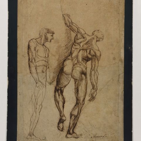 Study of Naked Athletes