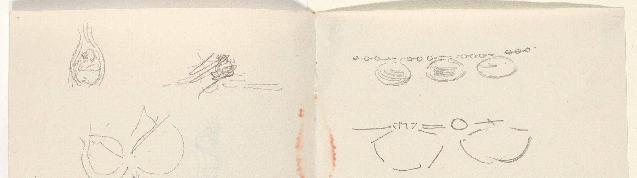Studies for Jewelry Designs [verso]