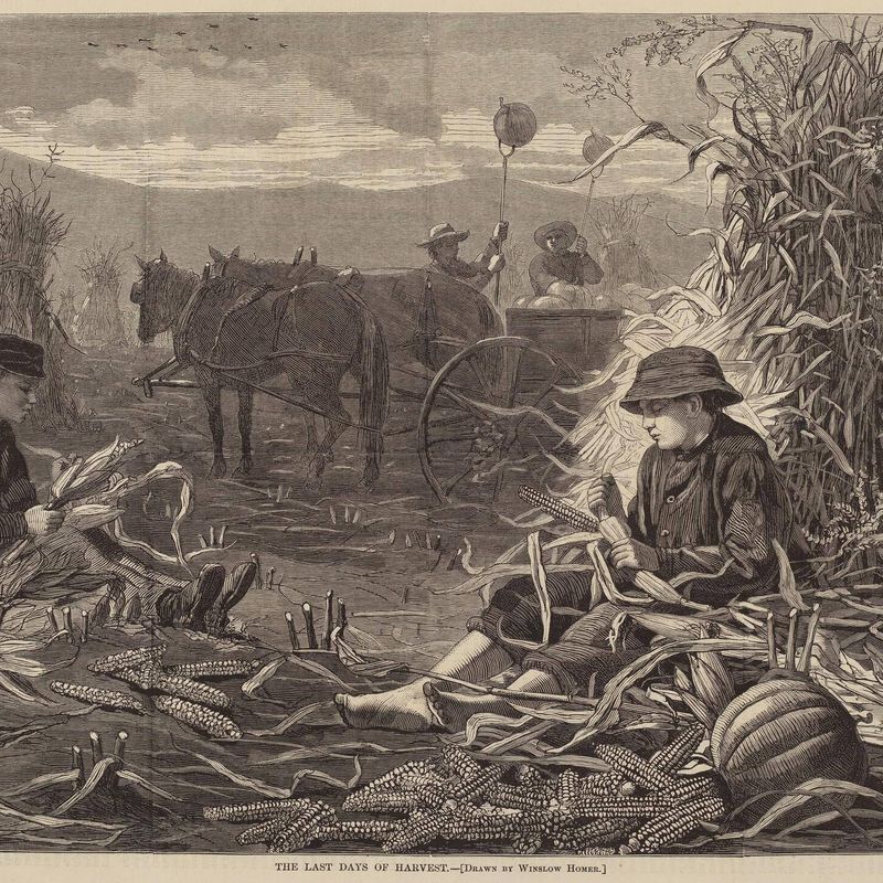 The Last Days of Harvest
