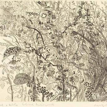 Tangled Undergrowth