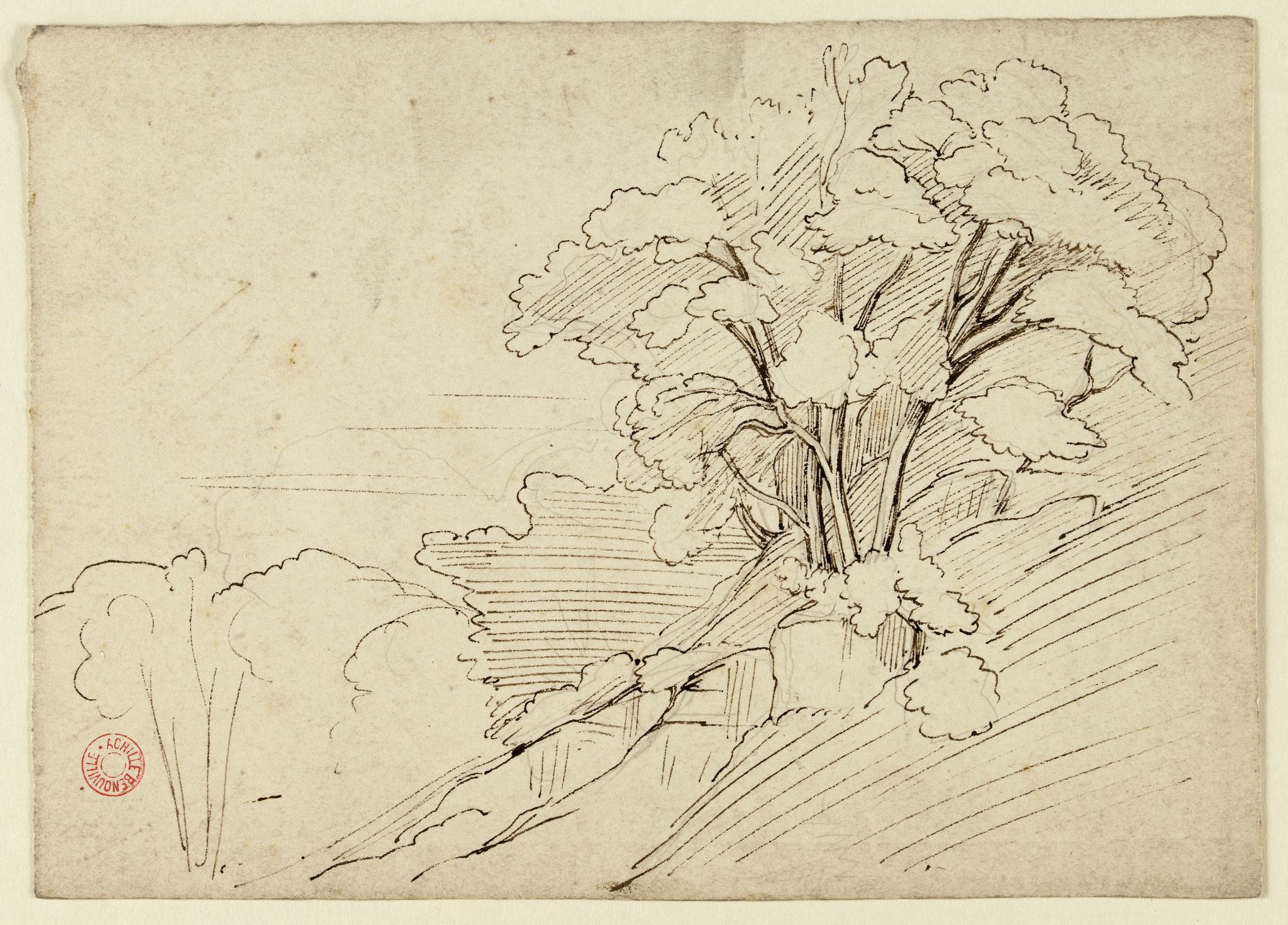 Object Image