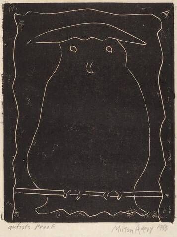Hooded Owl