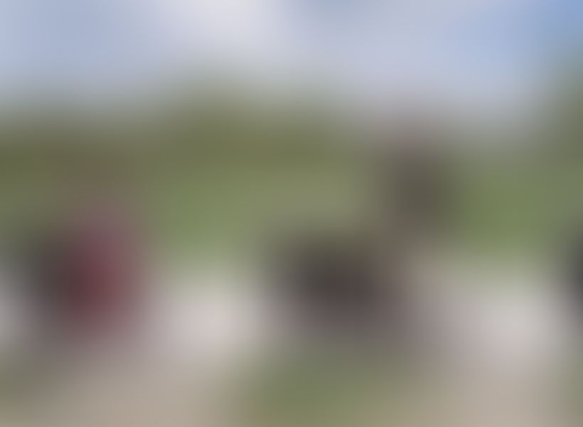 Object Image
