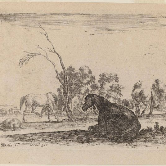 Horses in a Pasture