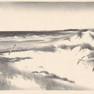 The Far Shore