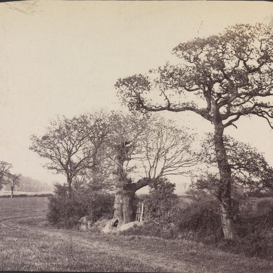 Mt. Pleasant Fields, Hornsey