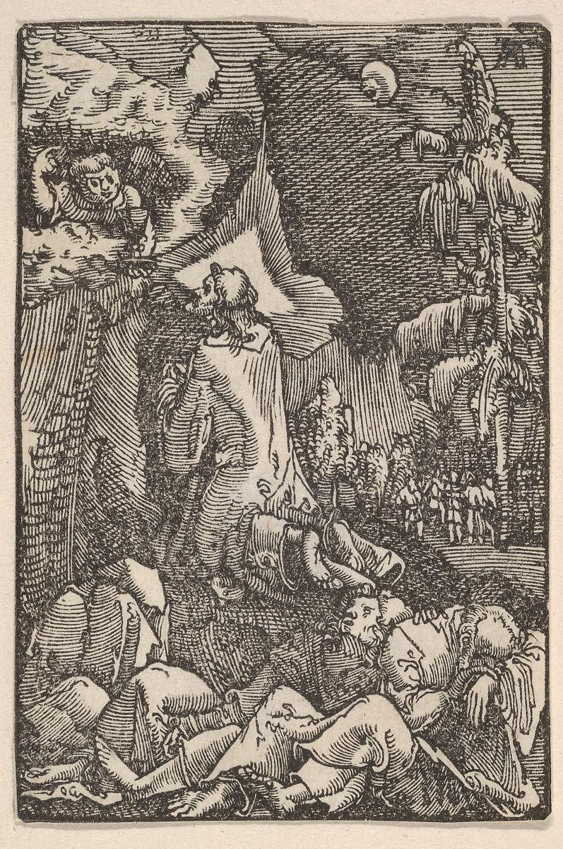 Object Image