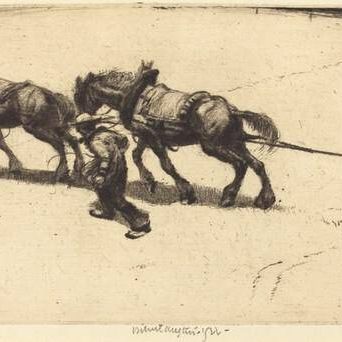 The Tow Rope