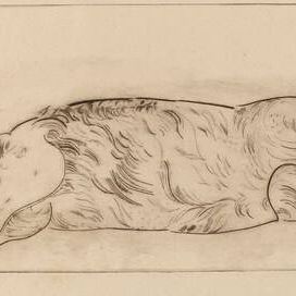 Hog (Cochon)