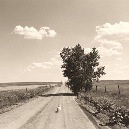 Sally, Weld County, Colorado