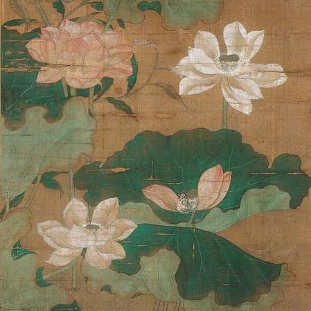 Pink and White Lotus