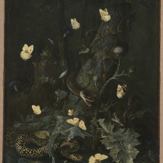 Snakes and butterflies in an undergrowth