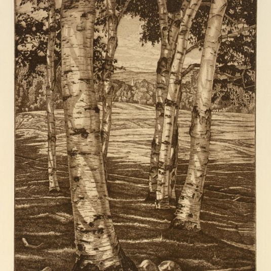 Birches and Beyond