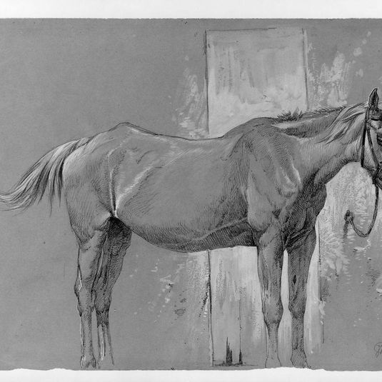 Horse, Fort Stanton, New Mexico