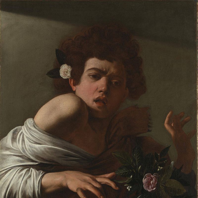 Boy bitten by a Lizard