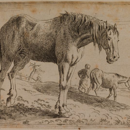Différents chevaux n° 5 (Bartsch 5)