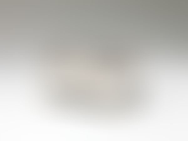 Object Image