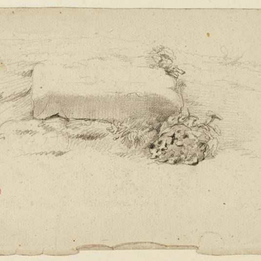 Paysage (pierres et plantes)