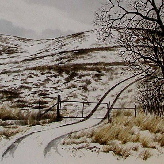 Winter Pasture