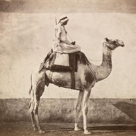 Camel rider of an Egyptian artillery company at the Citadel of Cairo before departing on an expedition to Sudan