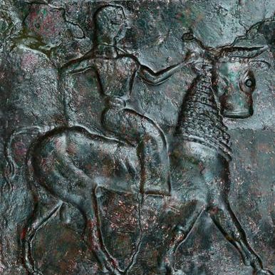 Ochanon of a shield