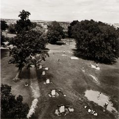 Joan Clark Netherwood