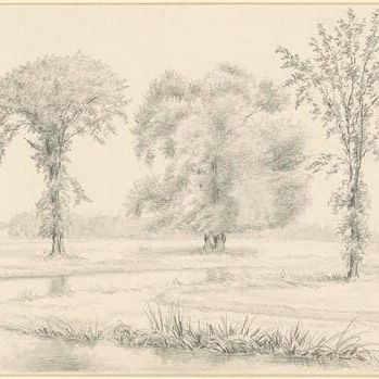 Landscape with Three Trees