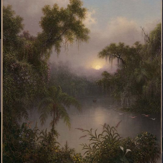 South American River