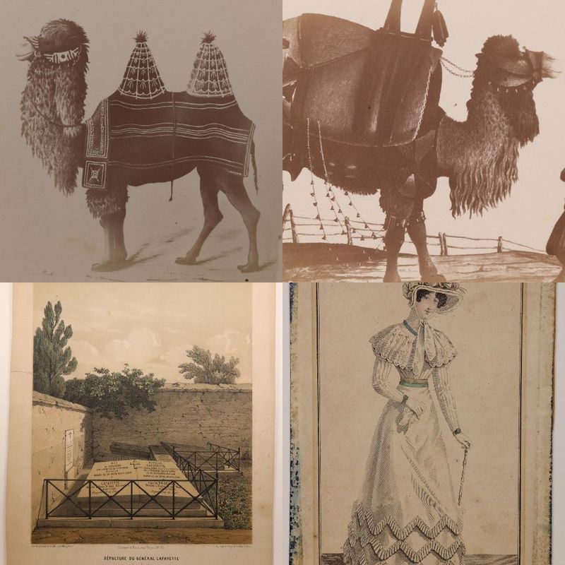 Study Gallery 1.2