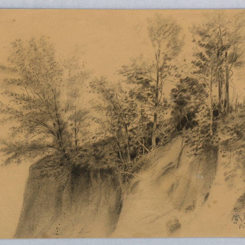 Cliff and Trees, Vicksburg, Miss.